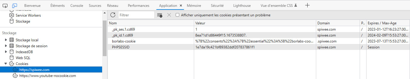 Exemple de cookies (mode inspection navigateur web)