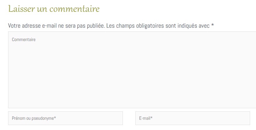 Formulaire commentaire Wordpress thème Astra