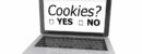 Gérer les cookies d'un site internet sous Wordpress