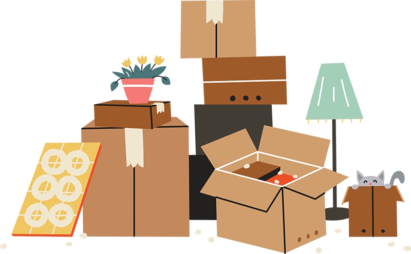 Spiwee Informatique déménage